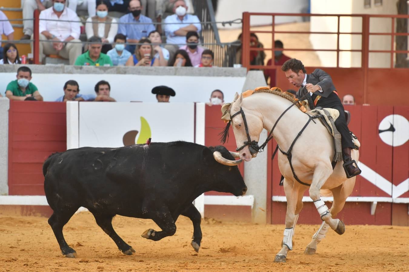 En imágenes, la triunfal tarde de rejones en la feria taurina de Pozoblanco