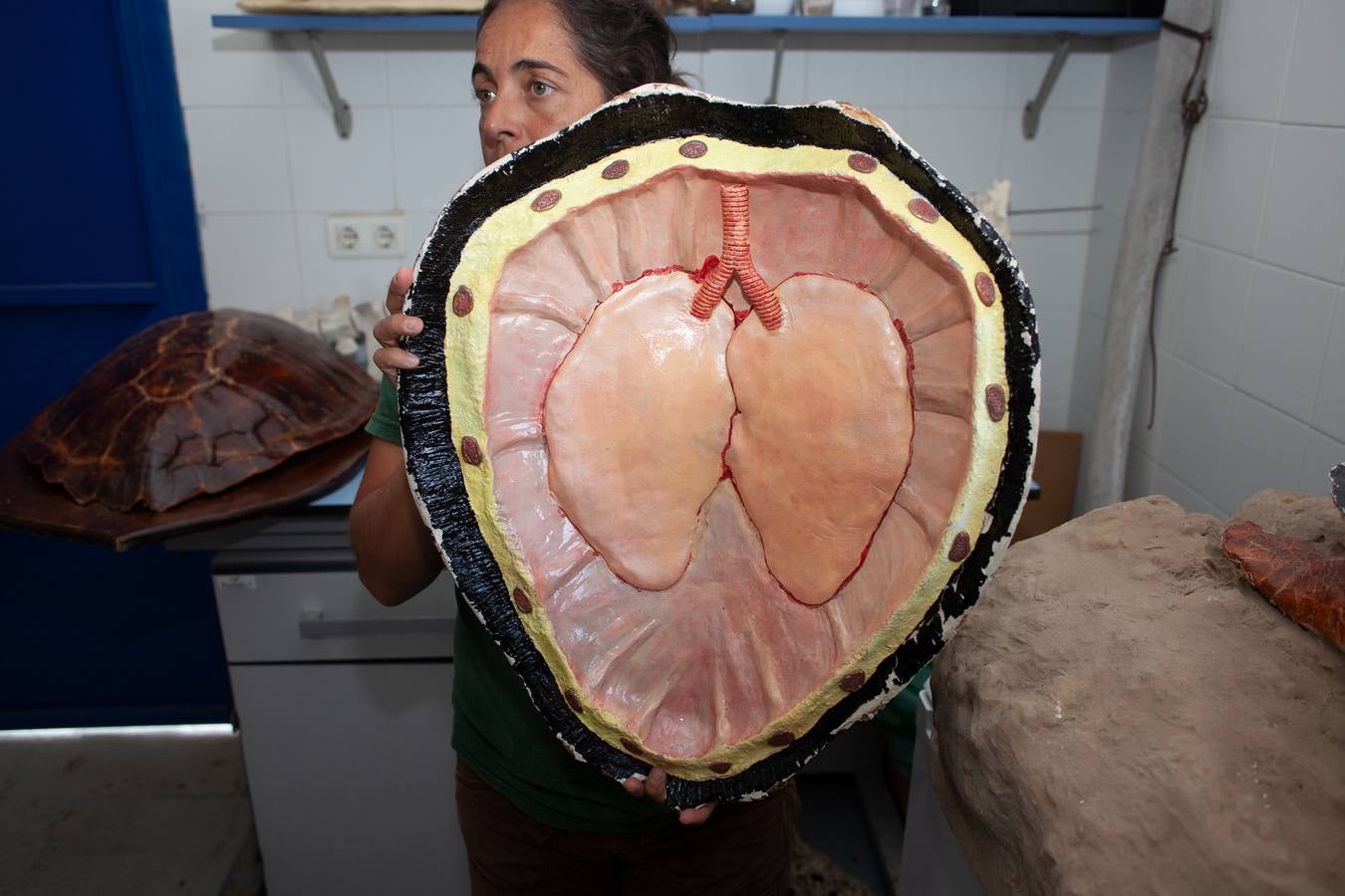 Instalaciones y especies del Centro de Gestión Sostenible del Medio Marino Andaluz del Estrecho