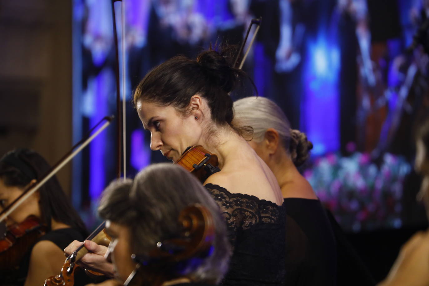 El concierto de la Orquesta de Cámara de Viena en Córdoba, en imágenes