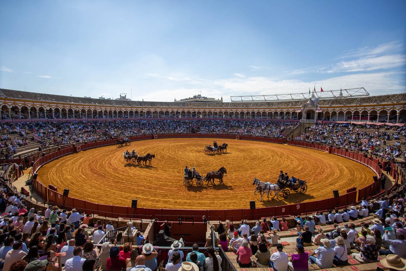 La Exhibición de Enganches vuelve a la Real Maestranza de Sevilla