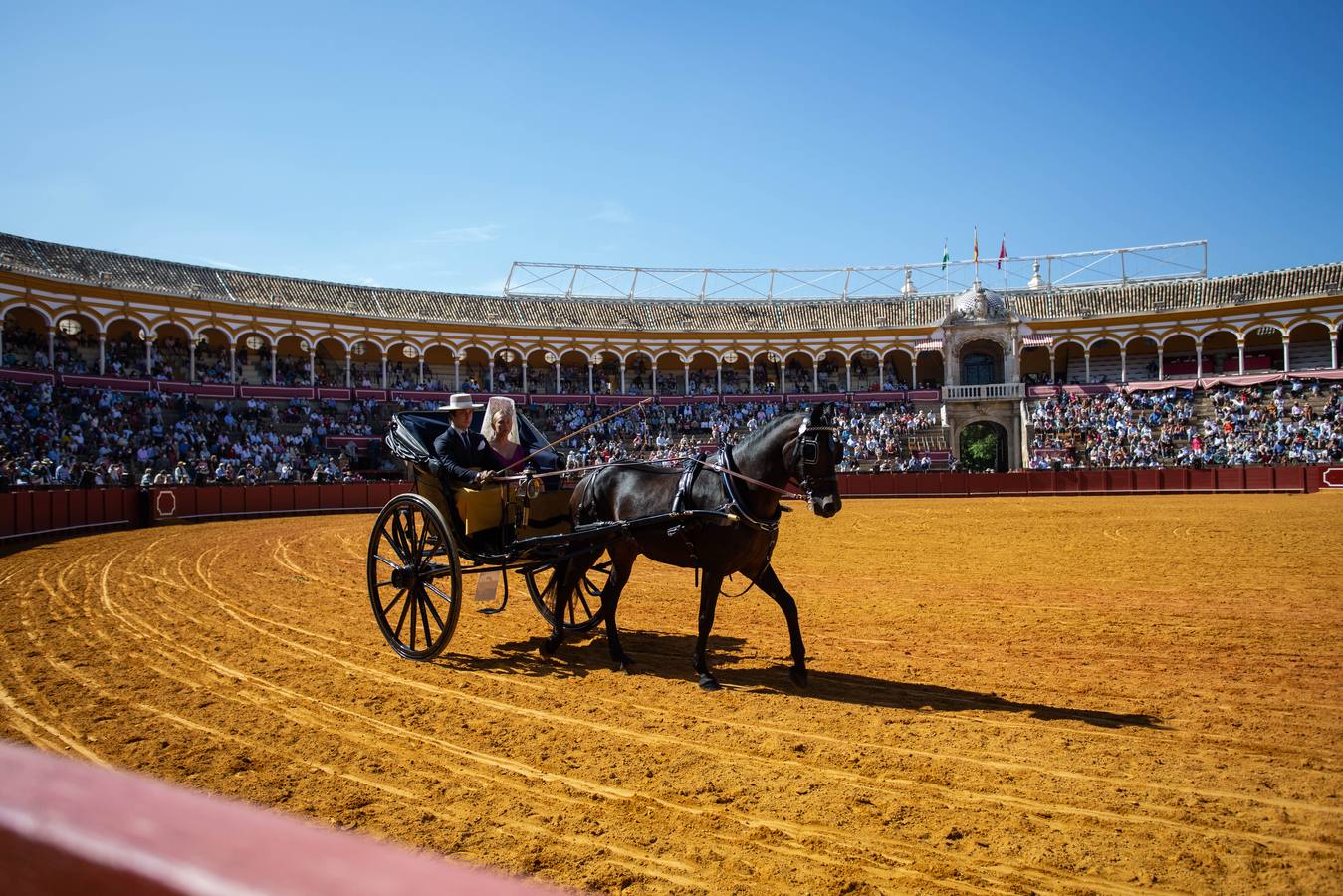 La Exhibición de Enganches vuelve a la Real Maestranza de Sevilla