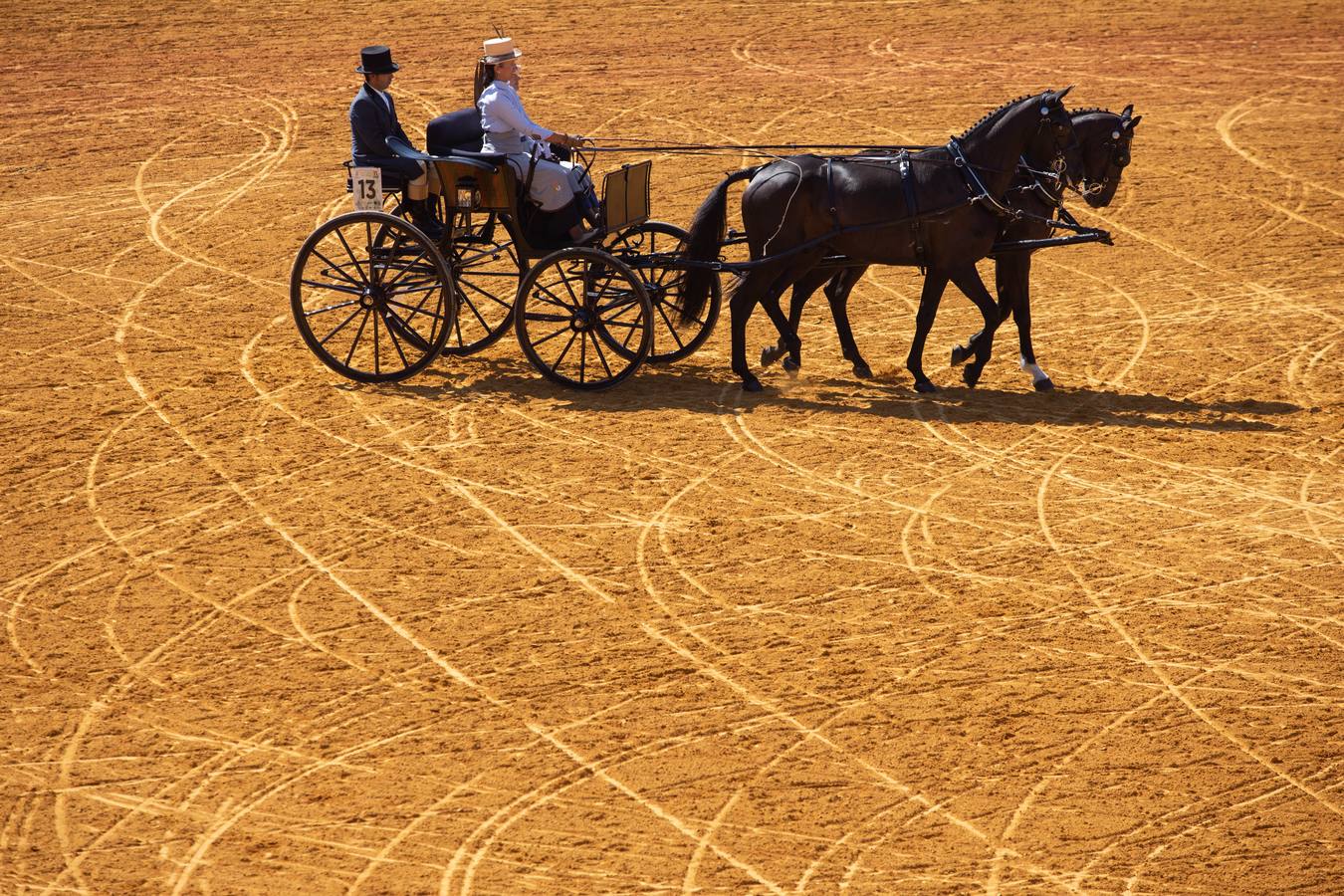 La Exhibición de Enganches vuelve a la Real Maestranza de Sevilla