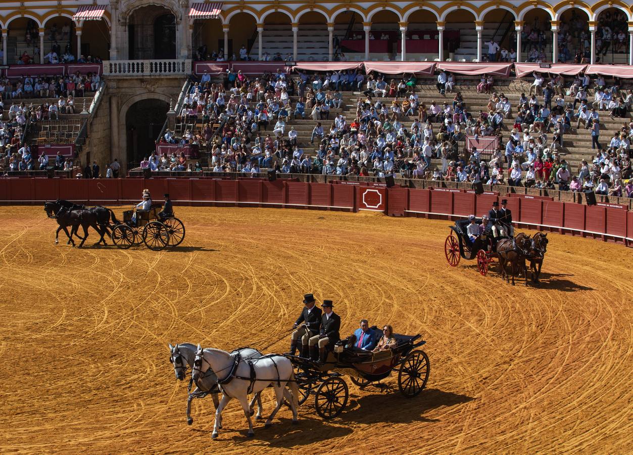 La Exhibición de Enganches vuelve a la Real Maestranza de Sevilla