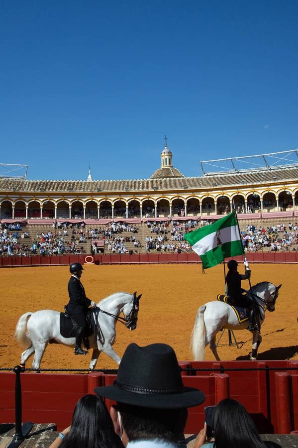 La Exhibición de Enganches vuelve a la Real Maestranza de Sevilla