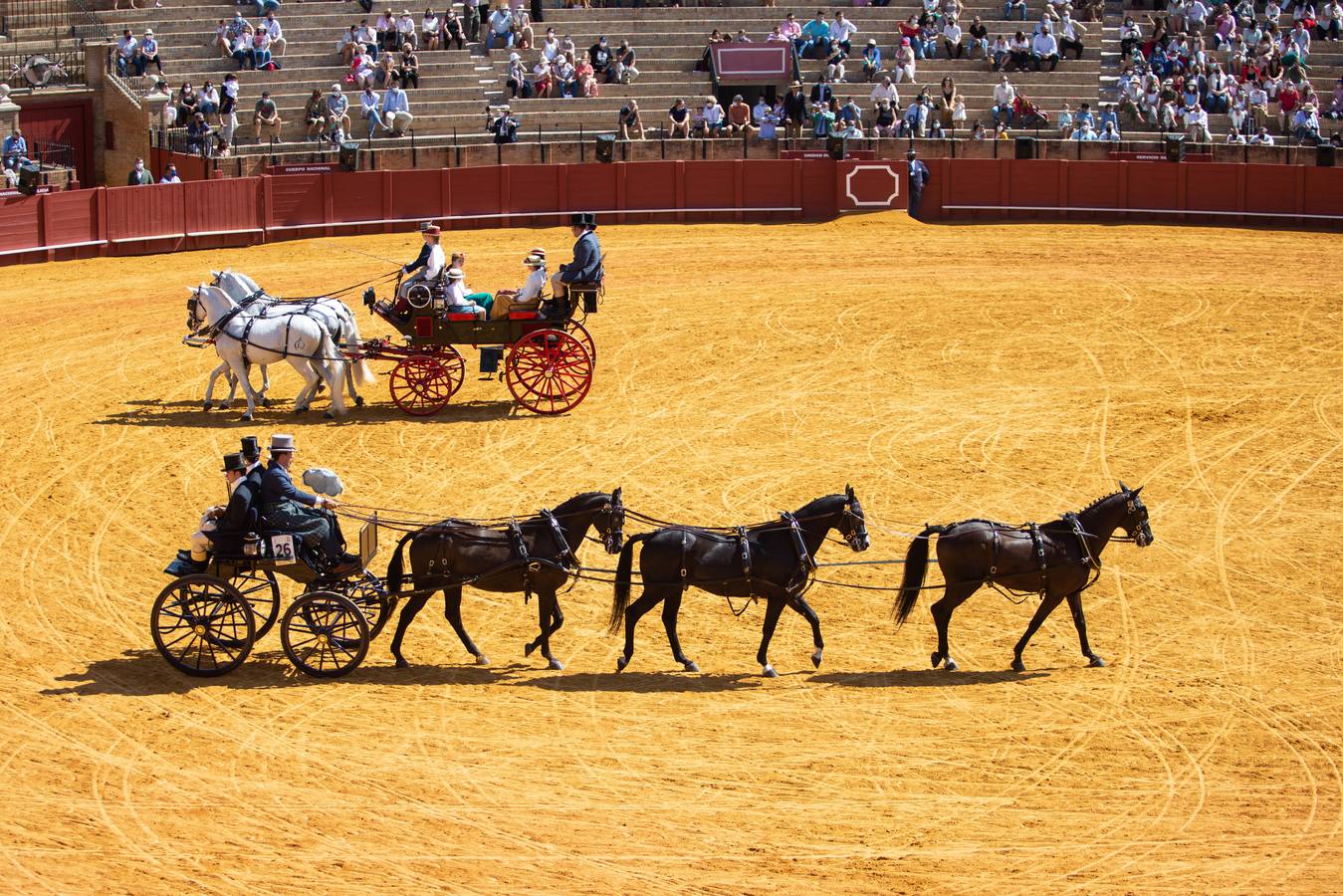 La Exhibición de Enganches vuelve a la Real Maestranza de Sevilla