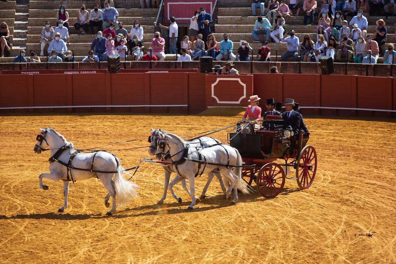 La Exhibición de Enganches vuelve a la Real Maestranza de Sevilla