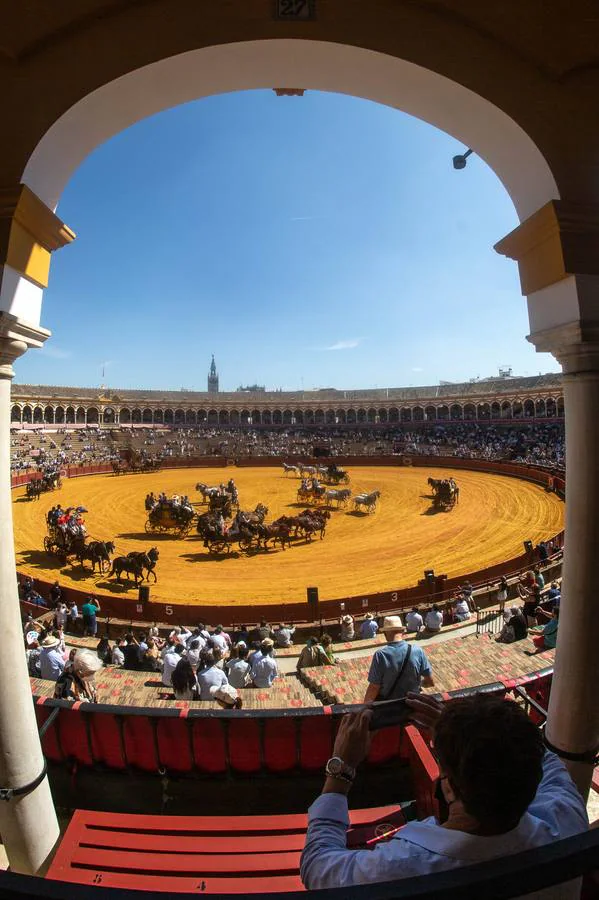 La Exhibición de Enganches vuelve a la Real Maestranza de Sevilla