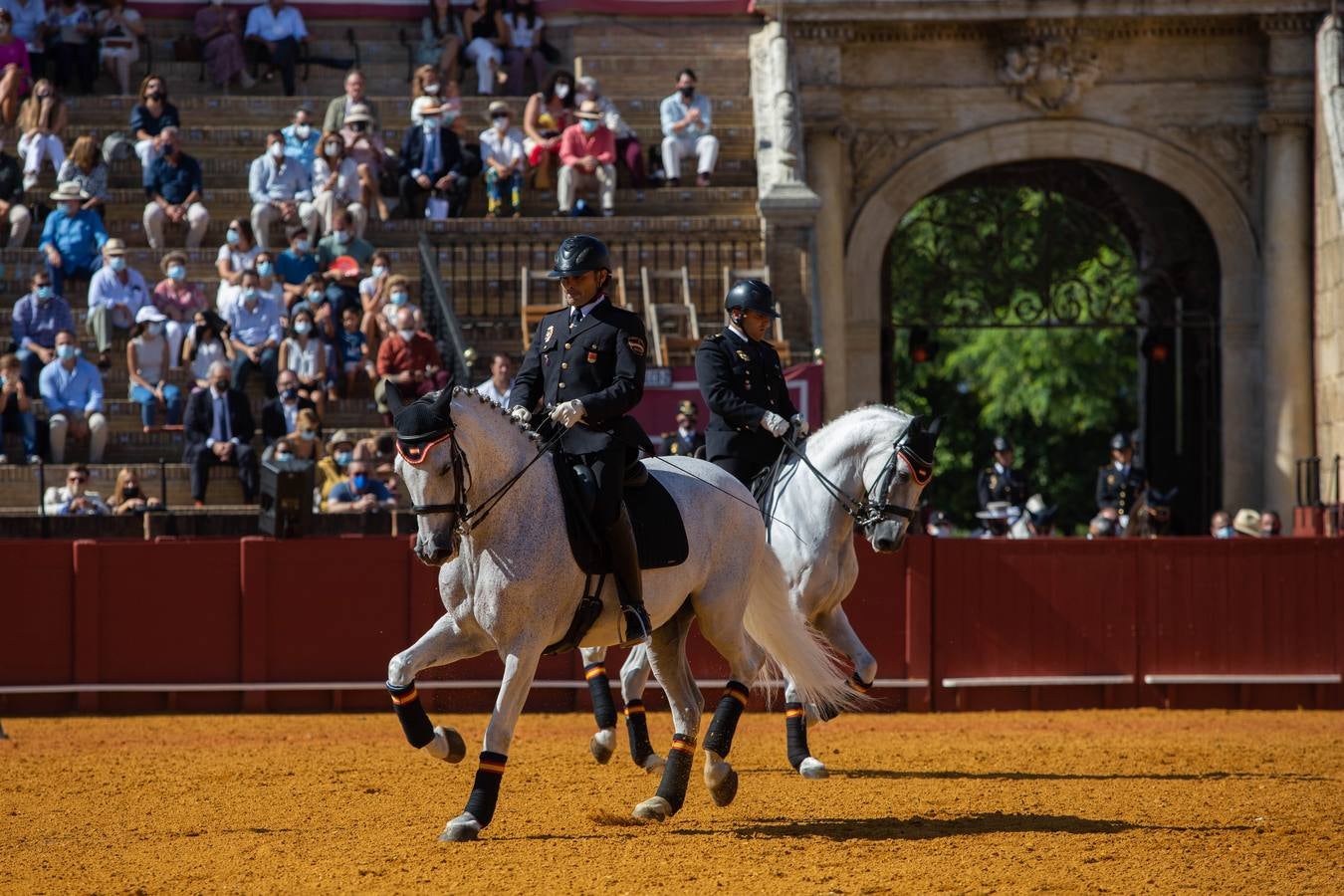 La Exhibición de Enganches vuelve a la Real Maestranza de Sevilla