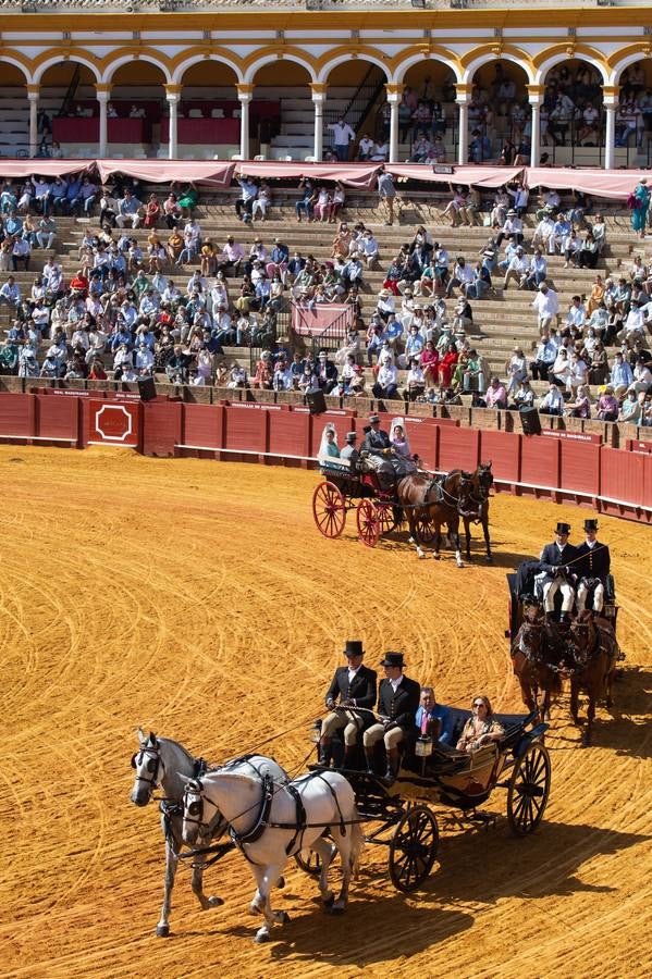 La Exhibición de Enganches vuelve a la Real Maestranza de Sevilla