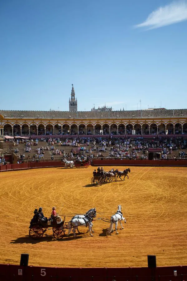 La Exhibición de Enganches vuelve a la Real Maestranza de Sevilla