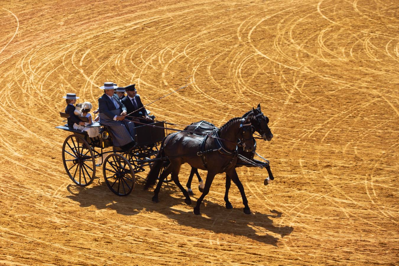 La Exhibición de Enganches vuelve a la Real Maestranza de Sevilla