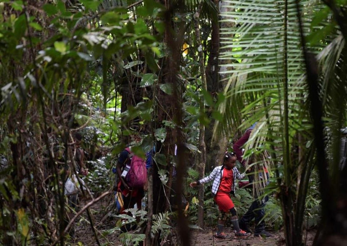A través de la vegetación de la selva puede verse a una niña haitiana. 