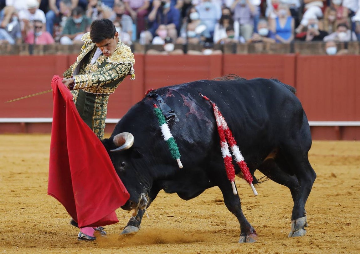 En imágenes, novillada del martes de la Feria de San Miguel de Sevilla