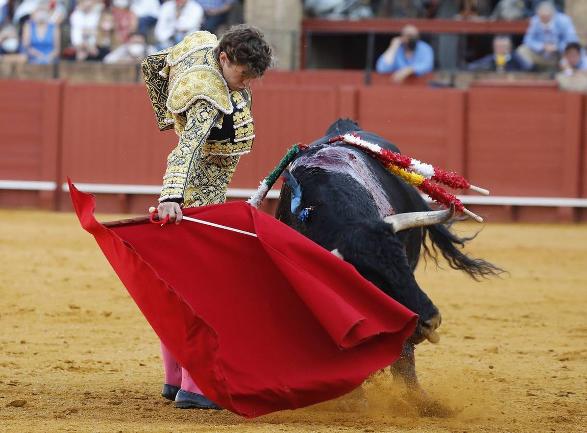En imágenes, novillada del martes de la Feria de San Miguel de Sevilla