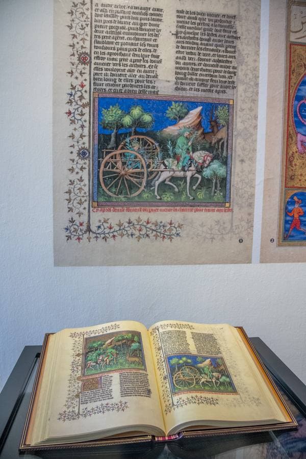 En imágenes, la exposición &#039;Plantas y flores curativas en los códices iluminados (siglos X - XVI)&#039; en el Alcázar de Sevilla