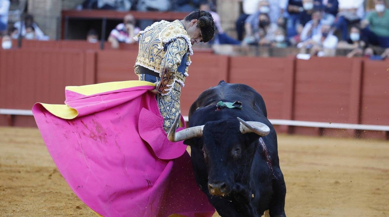 En imágenes, las faenas de Antonio Ferrera, Miguel Ángel Perera y Daniel Luque en la Maestranza