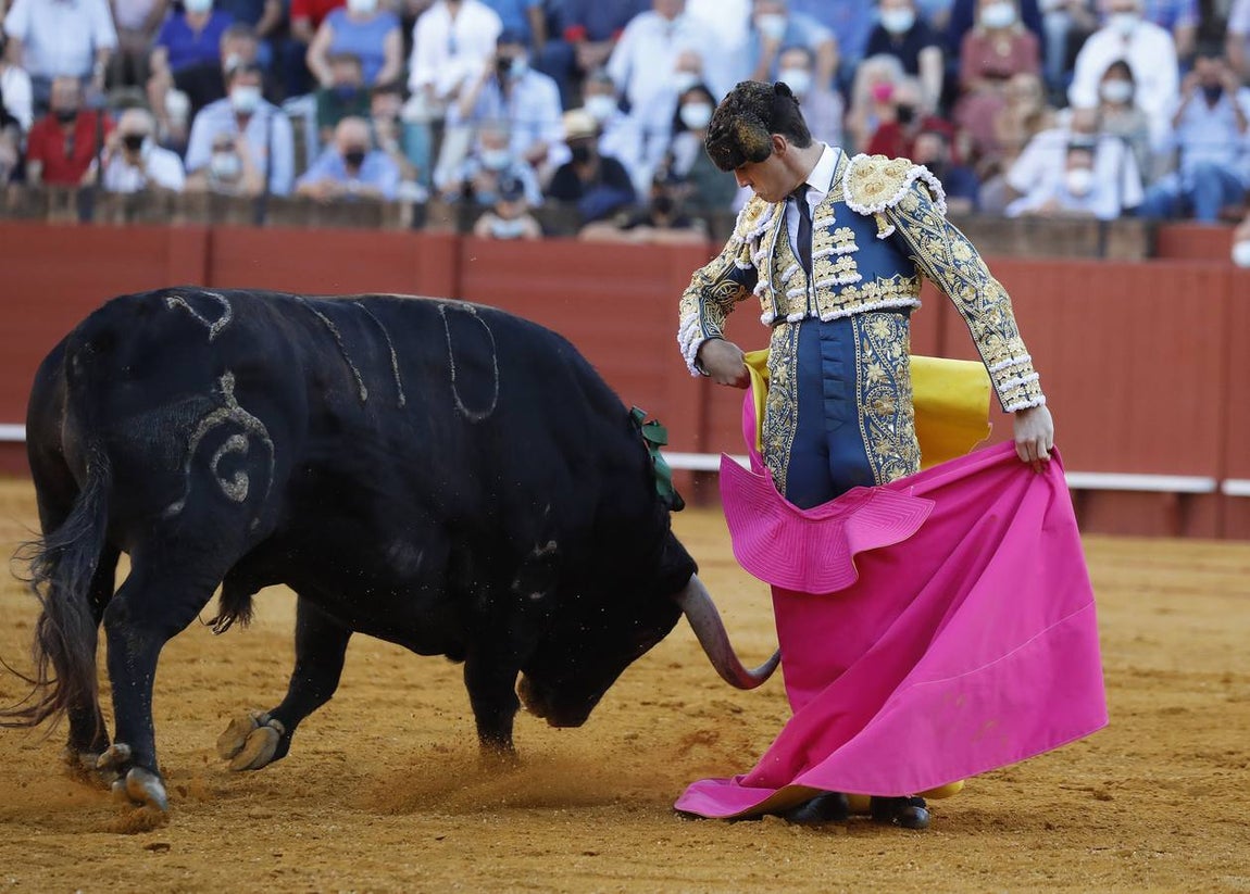 Daniel Luque, de azul y oro en la Maestranza