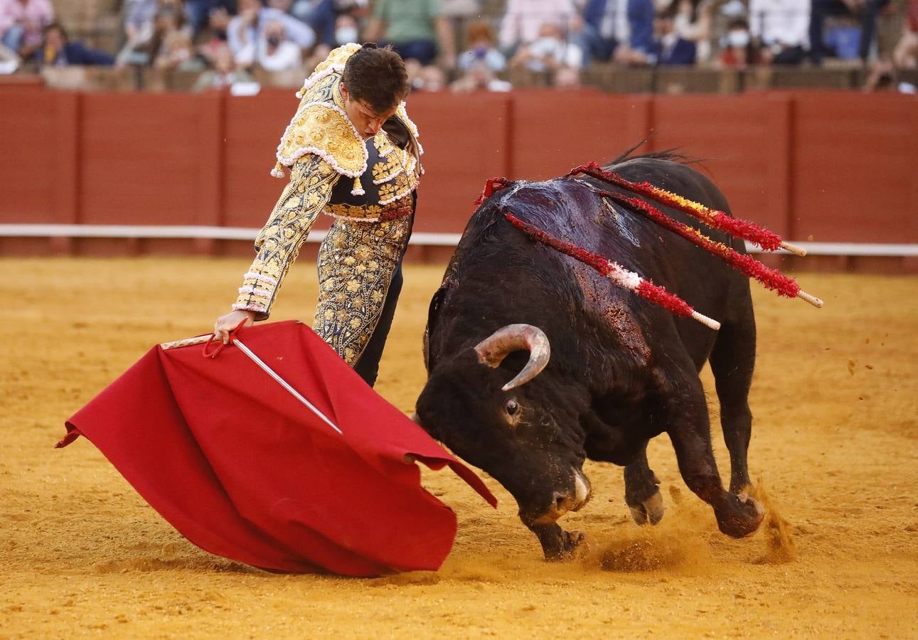 Daniel Luque, de azul y oro en la Maestranza