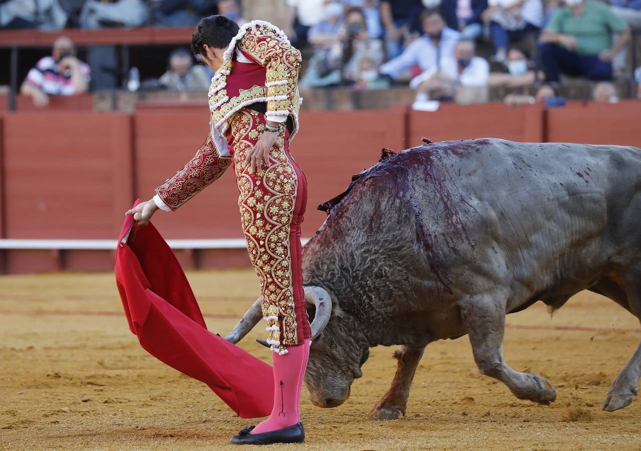 Miguel Ángel Perera, de sangre de toro y oro en la Maestranza