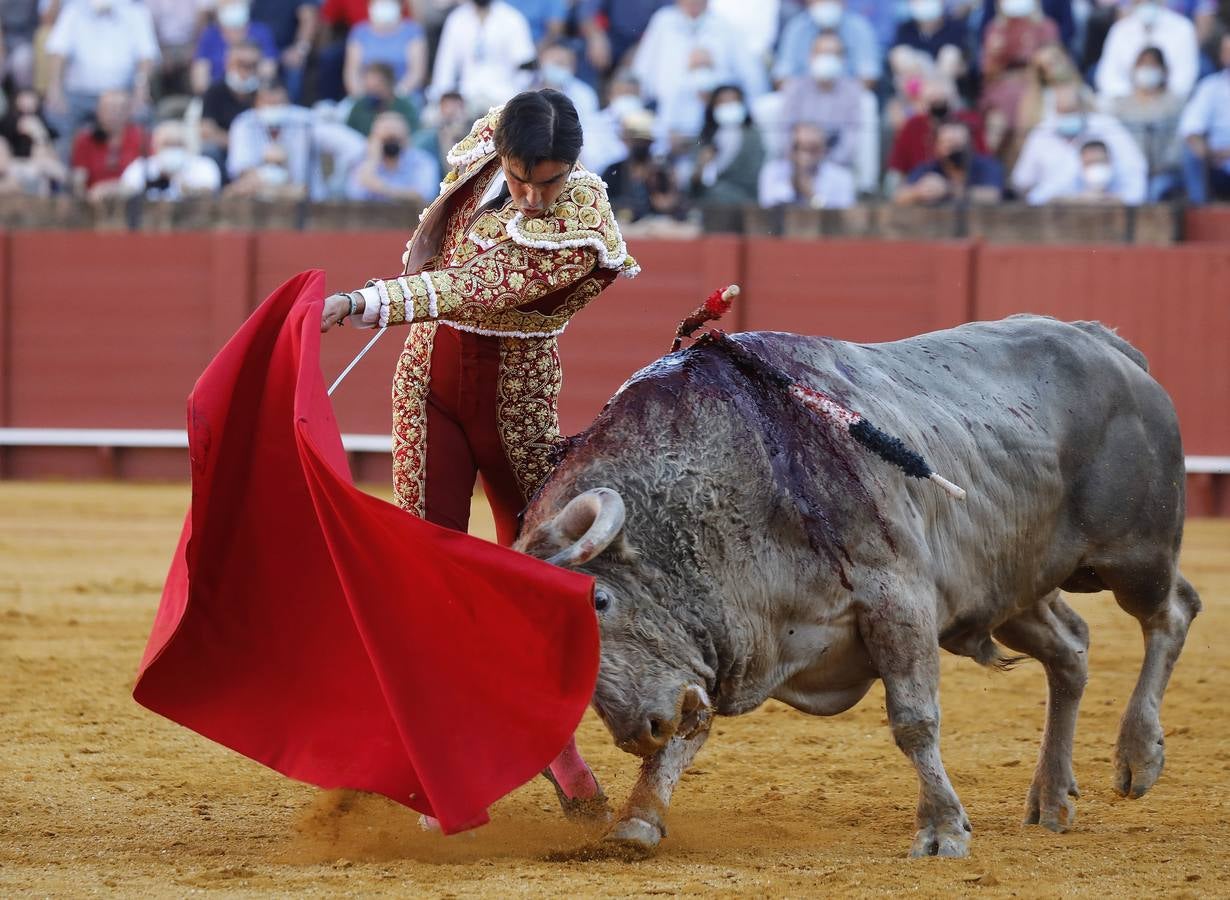 Miguel Ángel Perera, de sangre de toro y oro en la Maestranza