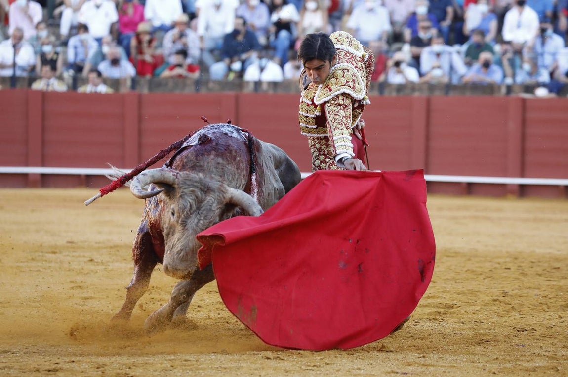 Miguel Ángel Perera, de sangre de toro y oro en la Maestranza