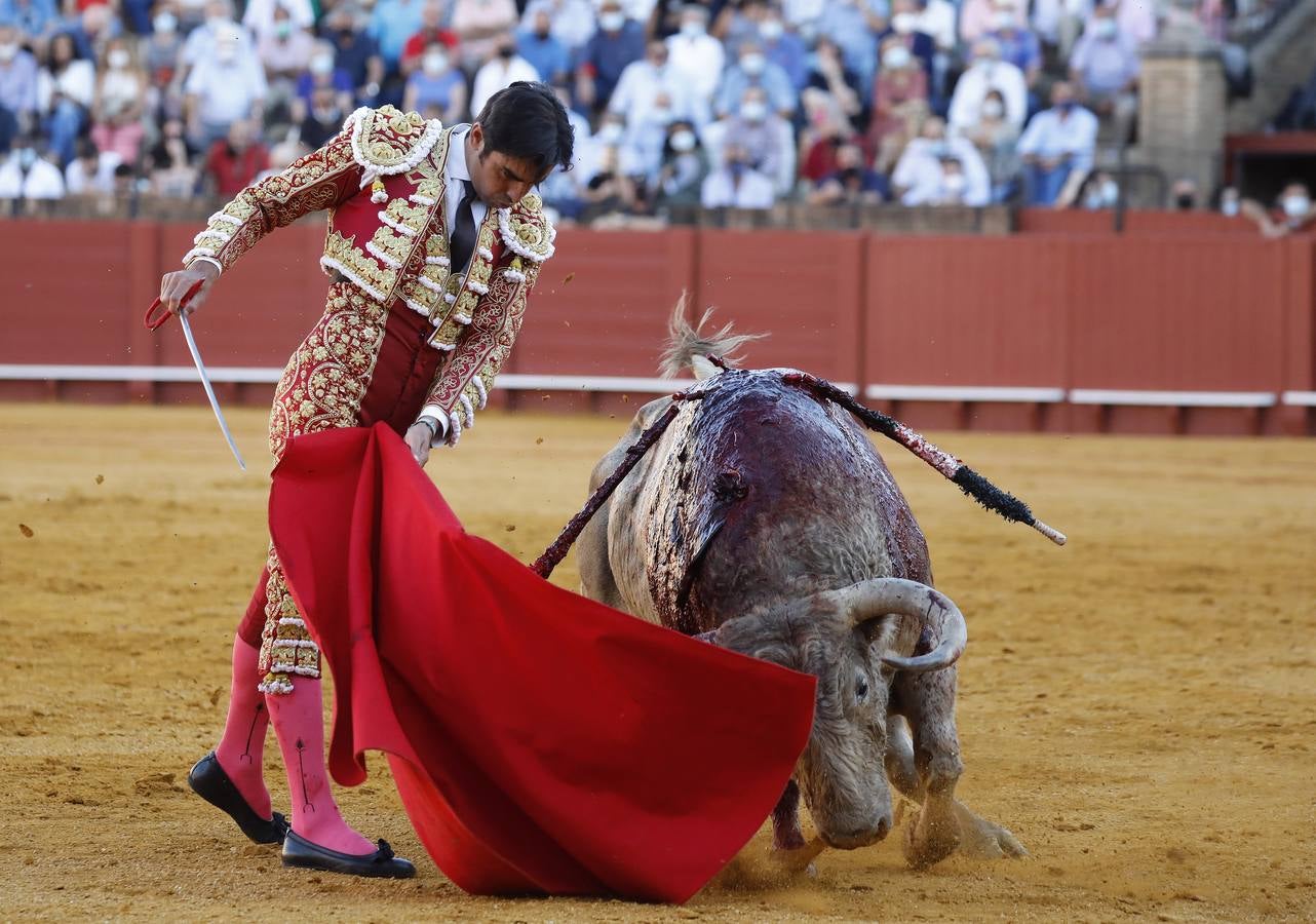 Miguel Ángel Perera, de sangre de toro y oro en la Maestranza