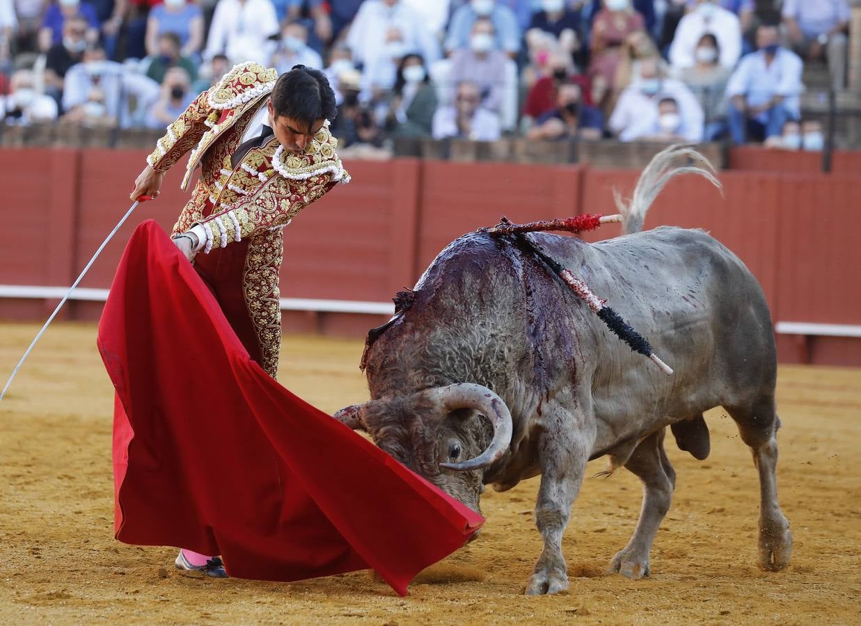 Miguel Ángel Perera, de sangre de toro y oro en la Maestranza