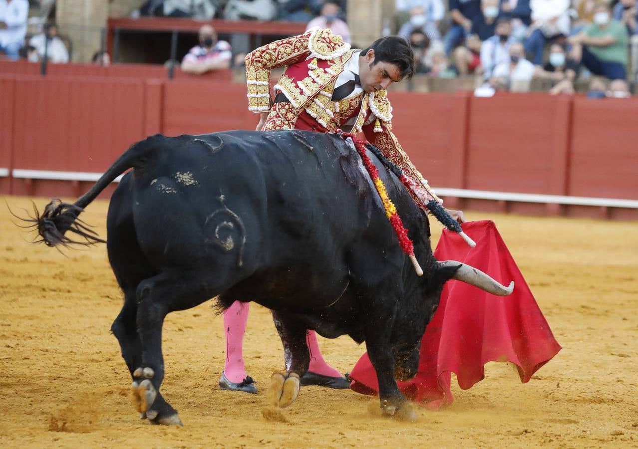 Miguel Ángel Perera, de sangre de toro y oro en la Maestranza