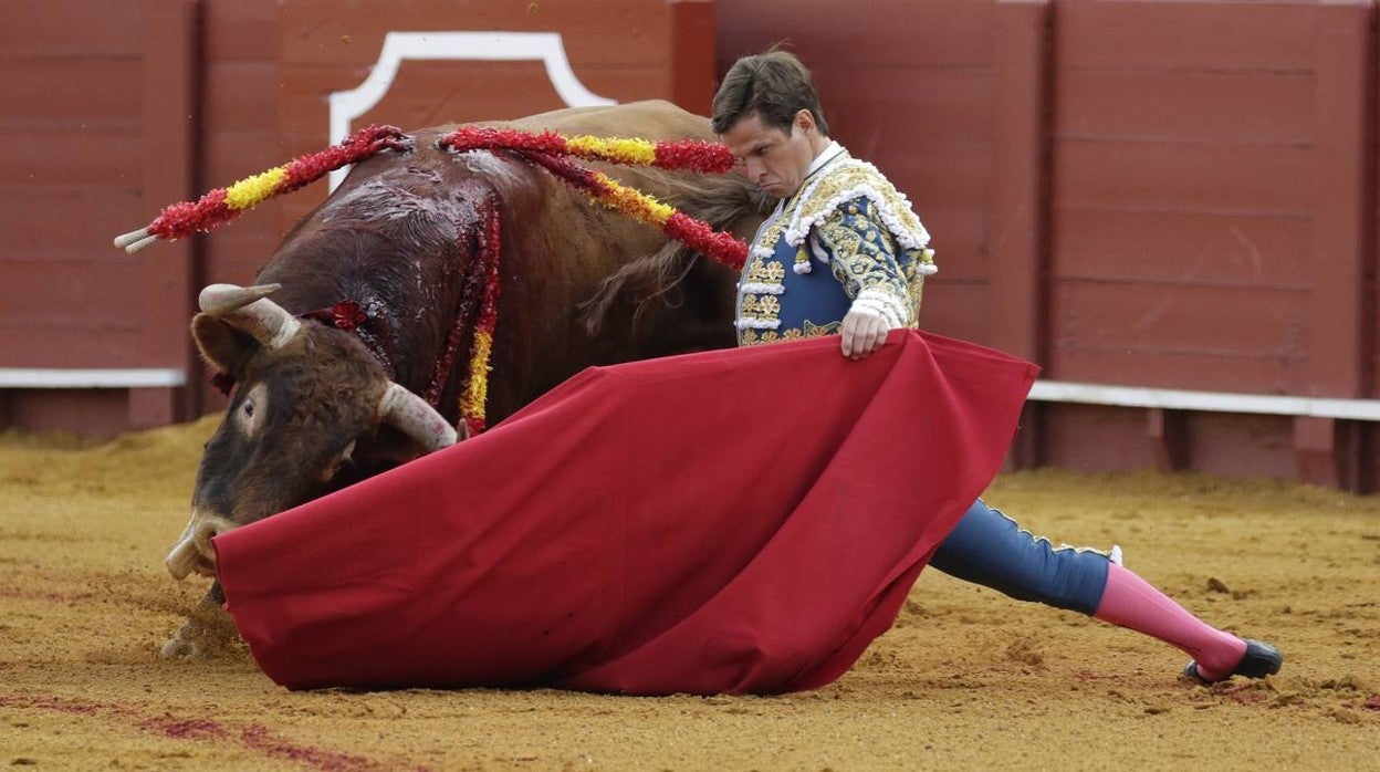 En imágenes, la decimoprimera corrida de la Feria de San Miguel de Sevilla