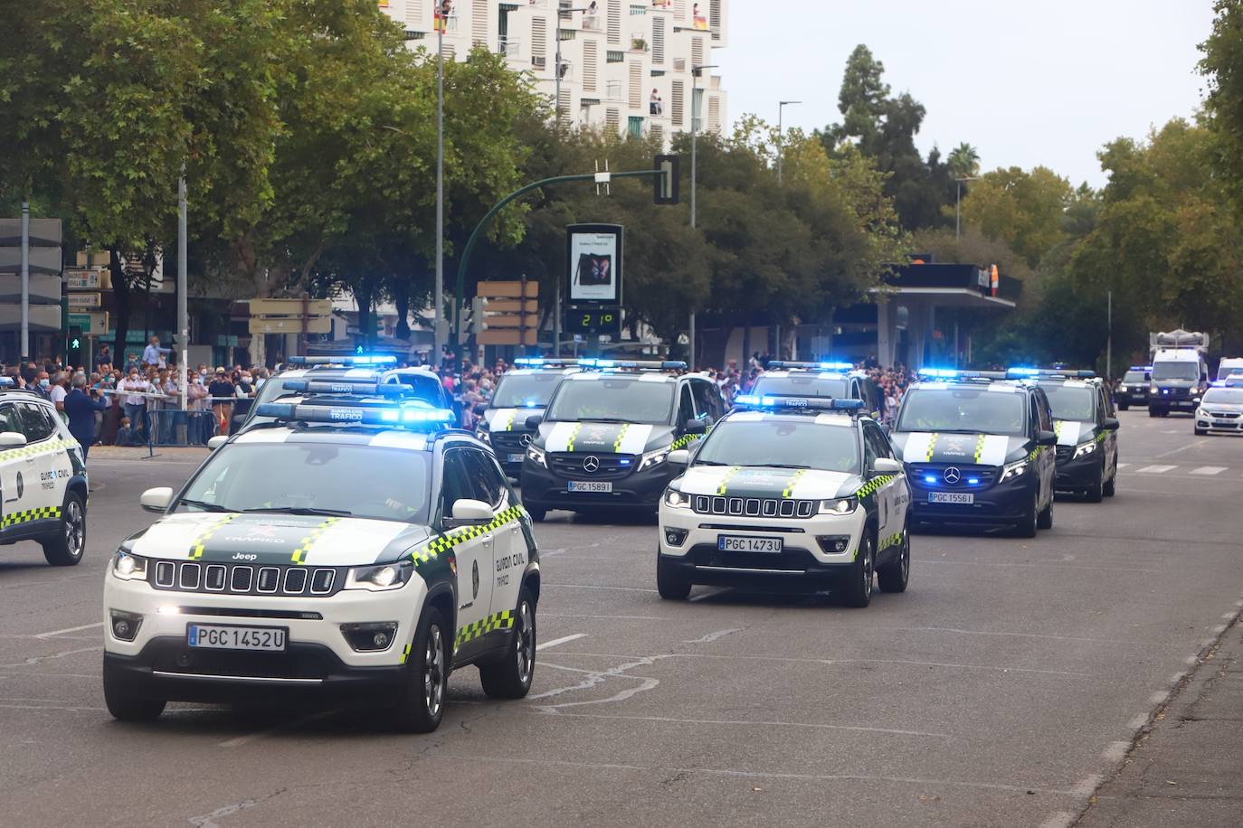 Actos nacionales por la Patrona | El desfile de la Guardia Civil en Córdoba, en imágenes (II)