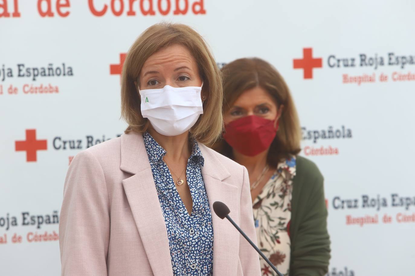 La presentación de la primera donación de órganos en la Cruz Roja de Córdoba, en imágenes