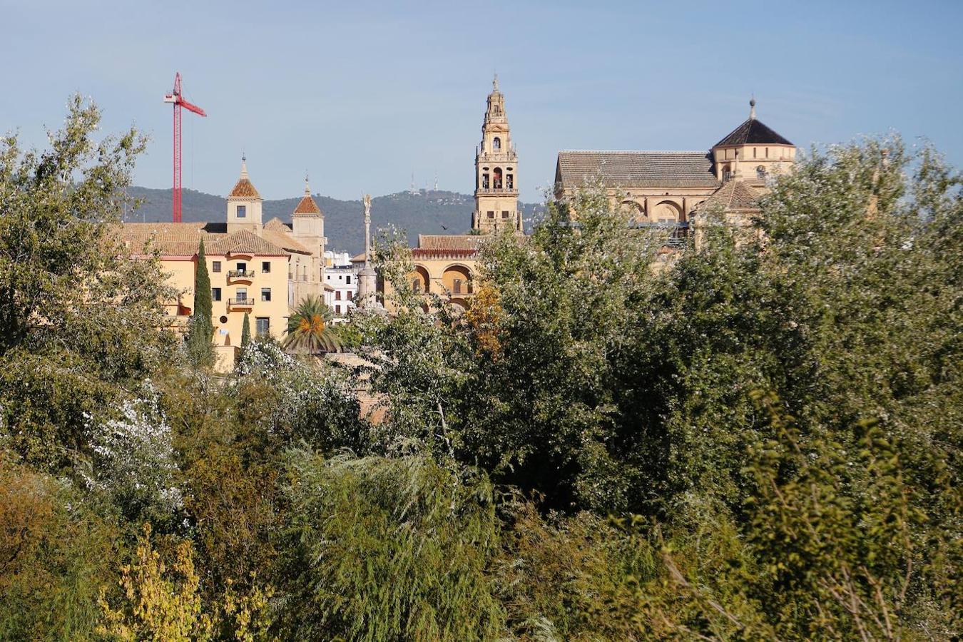 Cuando el río Guadalquivir pasaba por Córdoba sin vegetación alguna