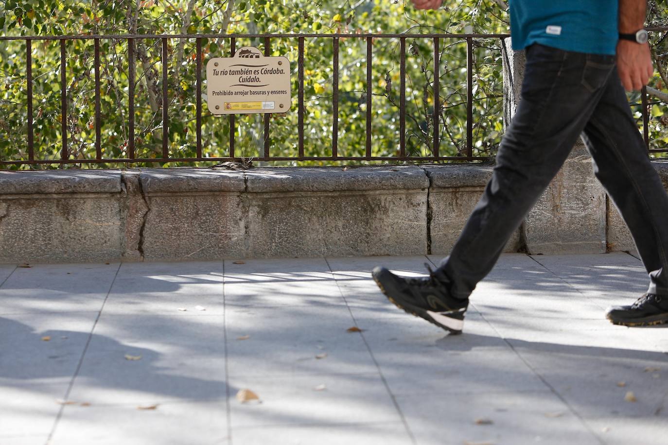 En imágenes, la vegetación tapa los molinos del Guadalquivir en Córdoba