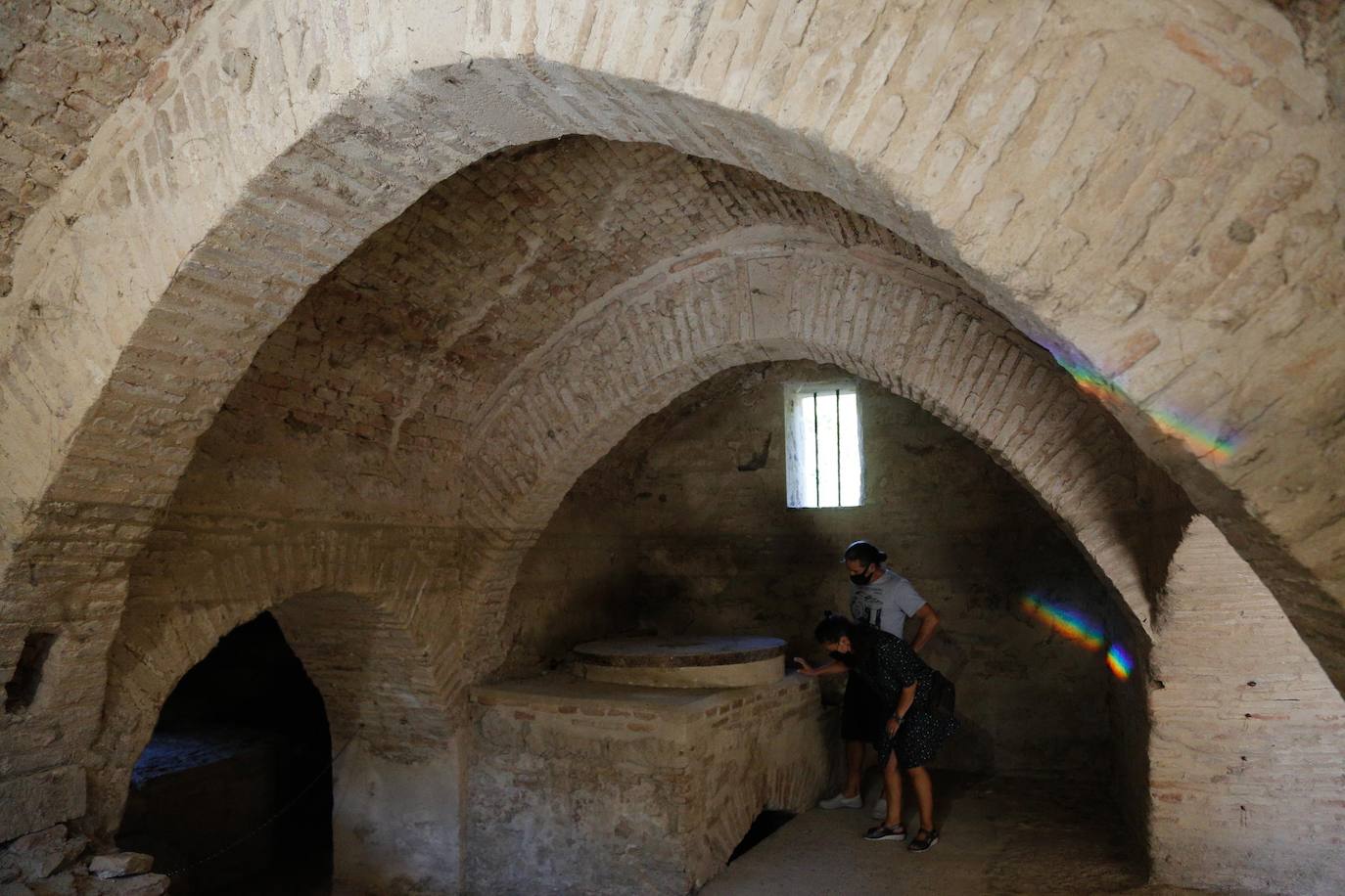 En imágenes, la vegetación tapa los molinos del Guadalquivir en Córdoba