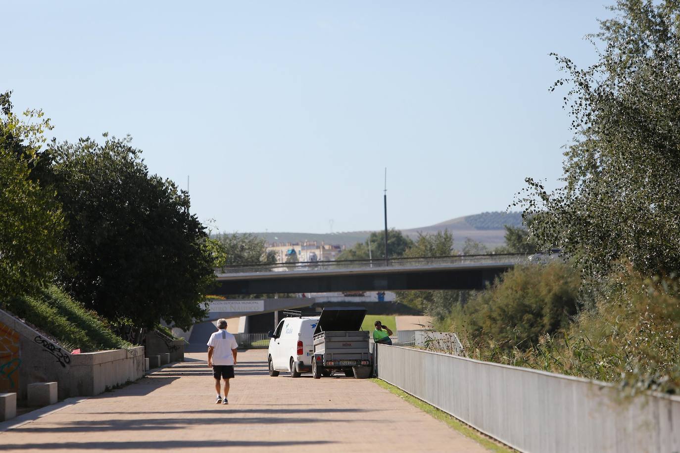 En imágenes, la vegetación tapa los molinos del Guadalquivir en Córdoba