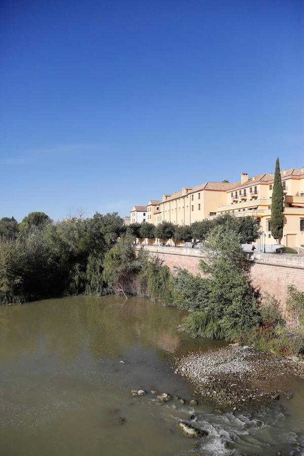 En imágenes, la vegetación tapa los molinos del Guadalquivir en Córdoba