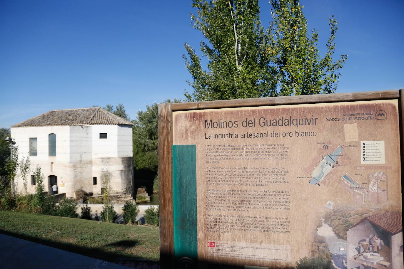 En imágenes, la vegetación tapa los molinos del Guadalquivir en Córdoba