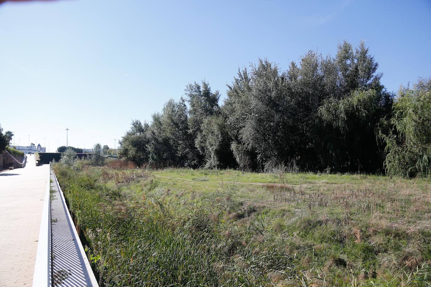 En imágenes, la vegetación tapa los molinos del Guadalquivir en Córdoba