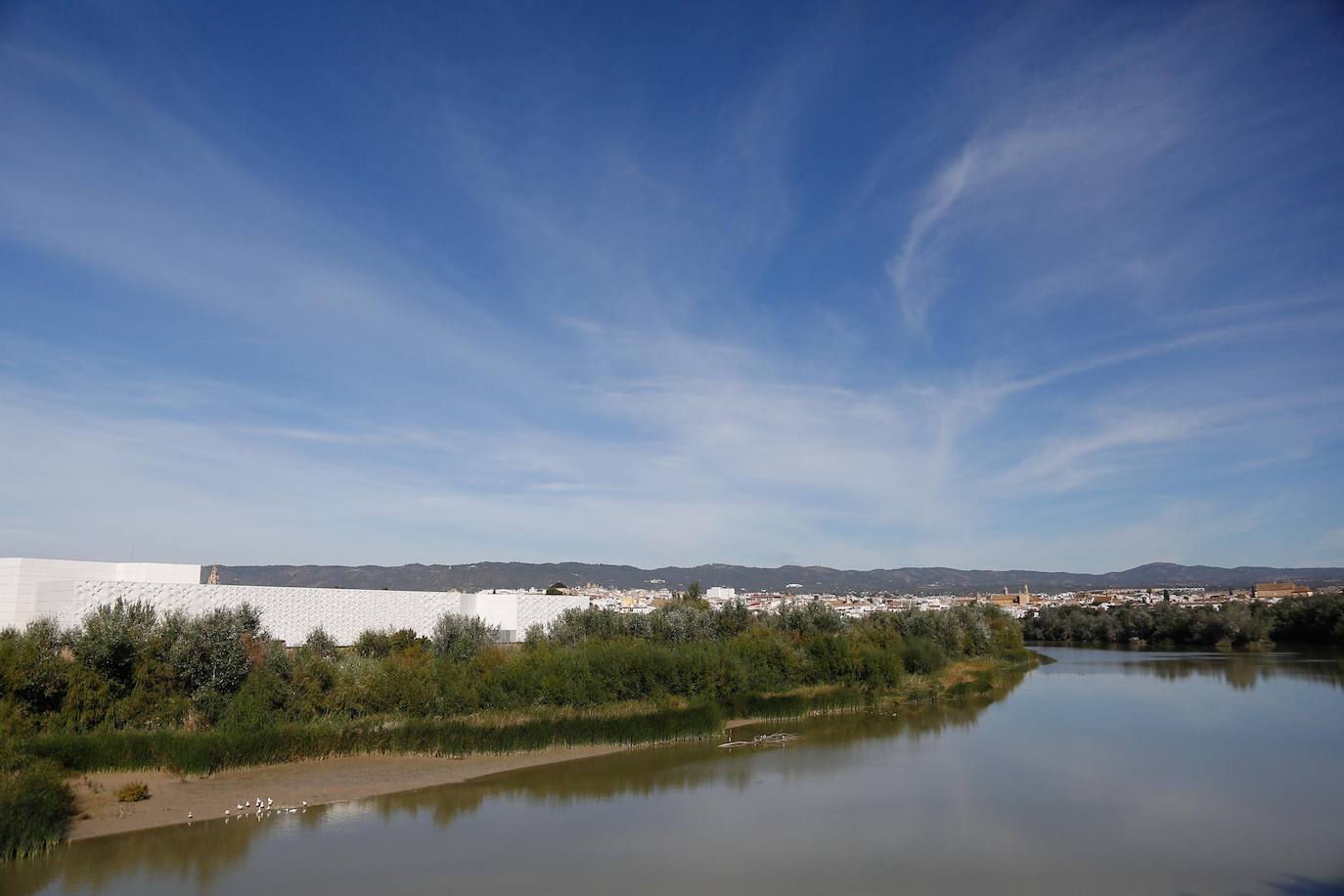 En imágenes, la vegetación tapa los molinos del Guadalquivir en Córdoba