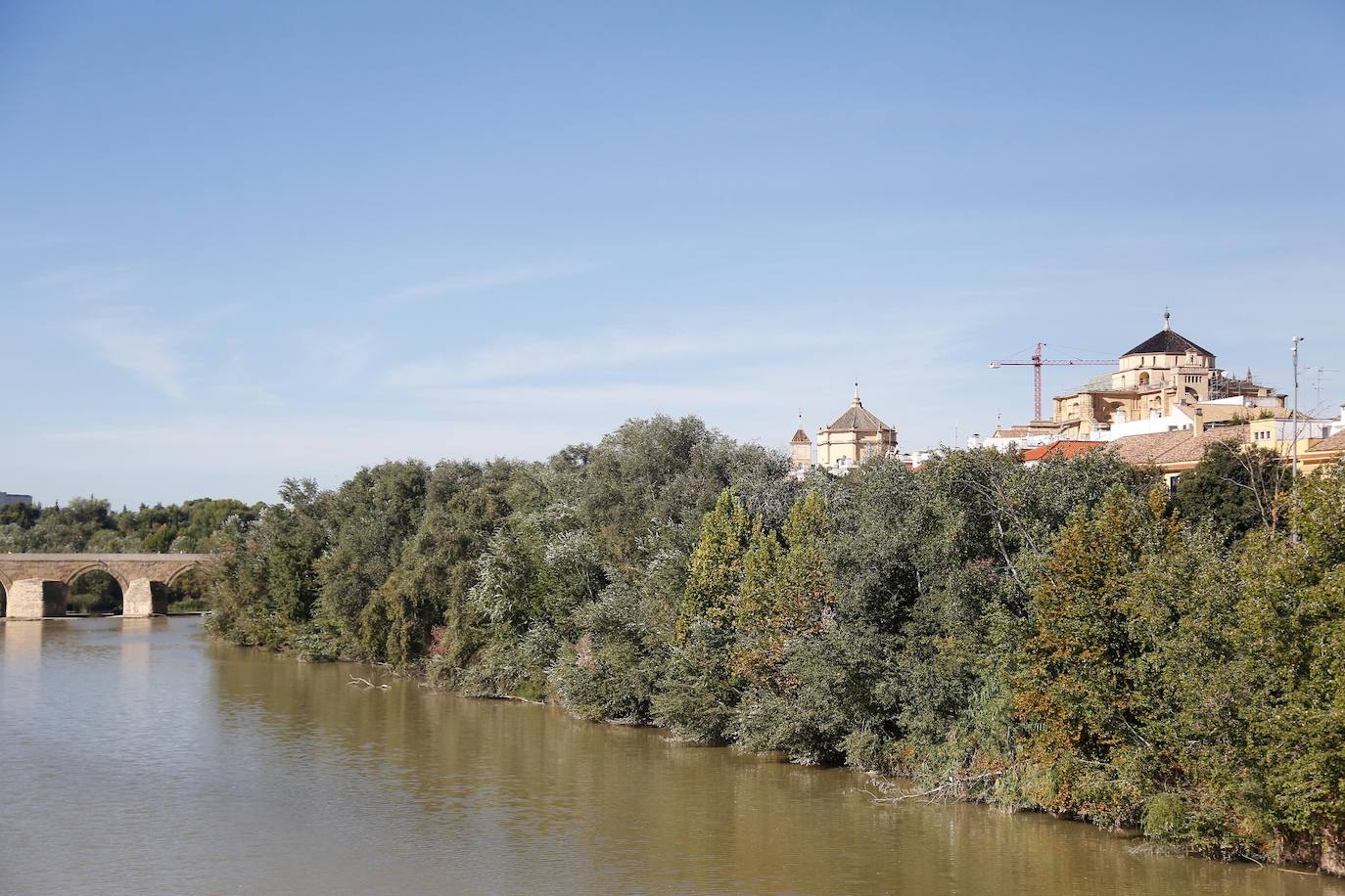 En imágenes, la vegetación tapa los molinos del Guadalquivir en Córdoba