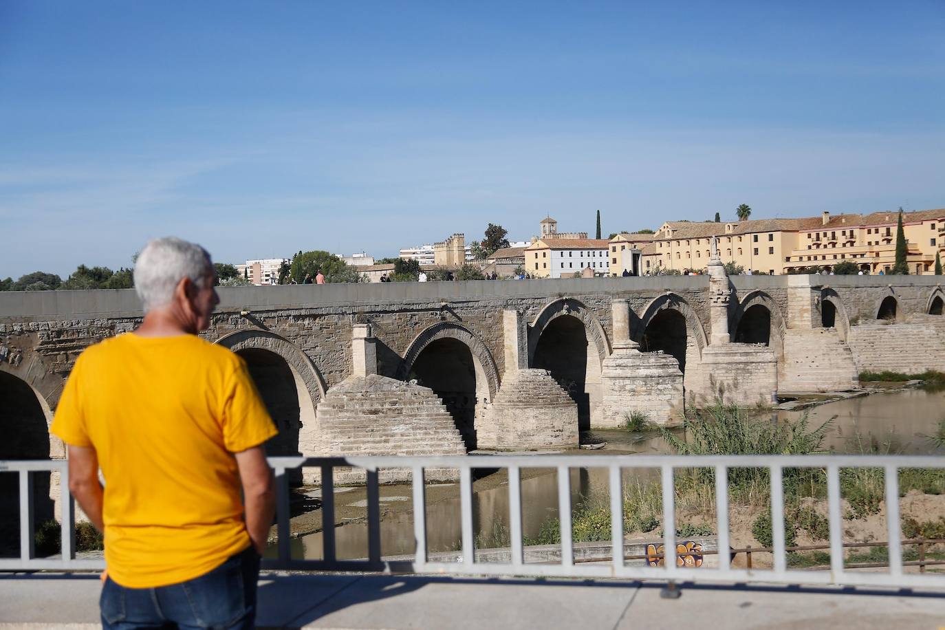 En imágenes, la vegetación tapa los molinos del Guadalquivir en Córdoba