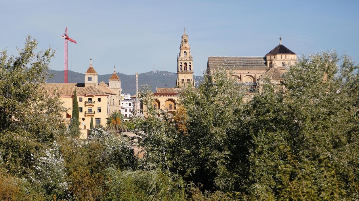 En imágenes, la vegetación tapa los molinos del Guadalquivir en Córdoba