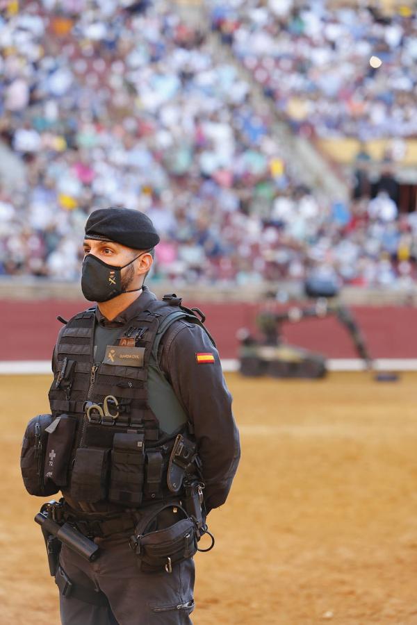 La exhibición de la Guardia Civil en la plaza de toros de Córdoba, en imágenes