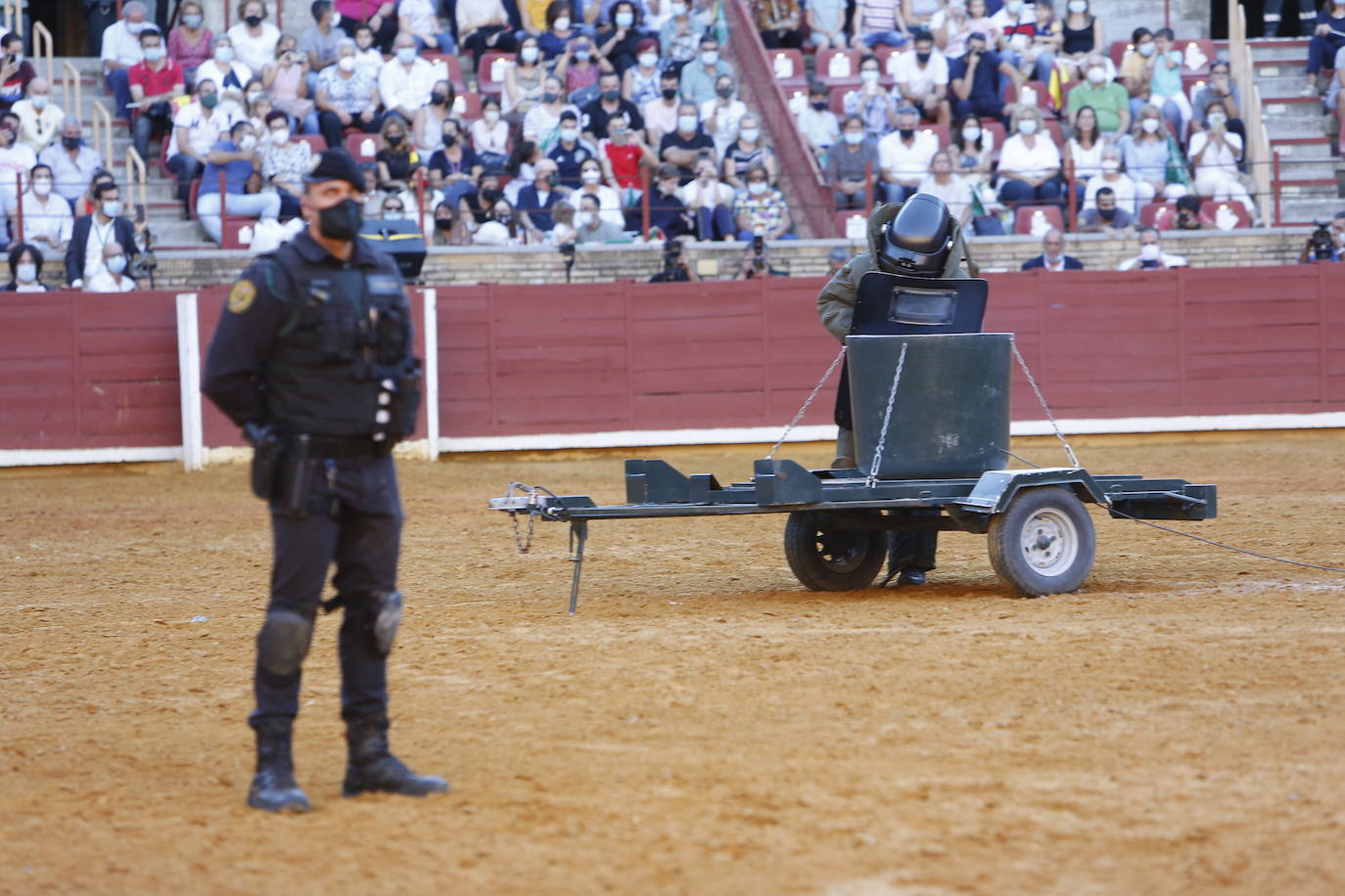 La exhibición de la Guardia Civil en la plaza de toros de Córdoba, en imágenes