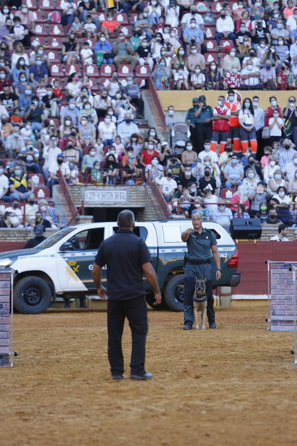 La exhibición de la Guardia Civil en la plaza de toros de Córdoba, en imágenes