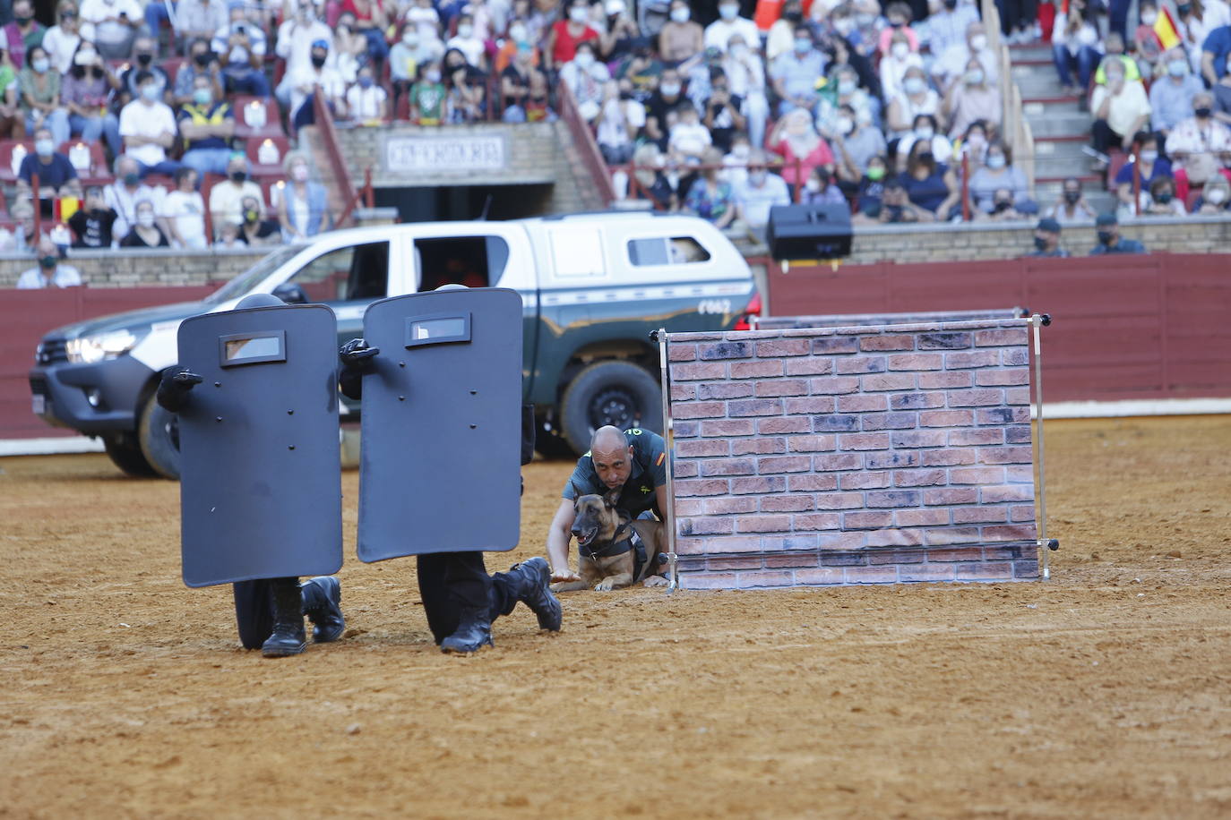 La exhibición de la Guardia Civil en la plaza de toros de Córdoba, en imágenes