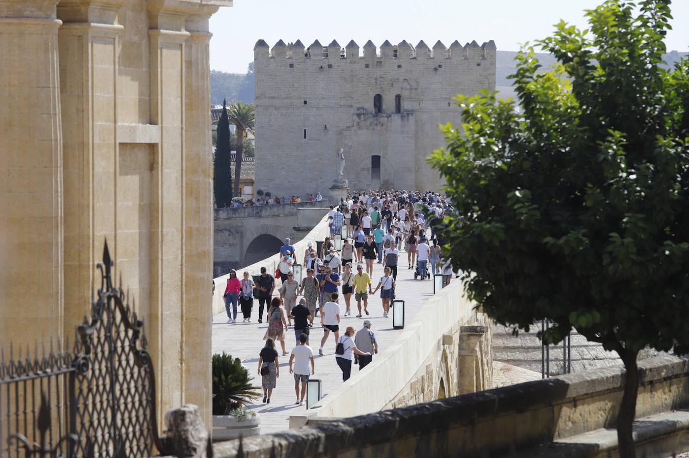 El turismo en Córdoba en el Puente del Pilar, en imágenes