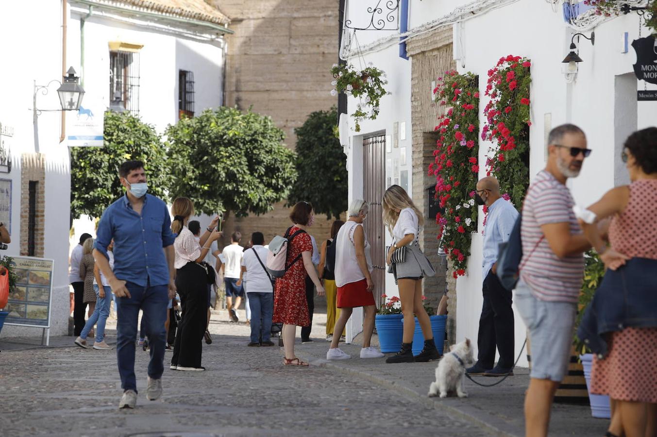 El turismo en Córdoba en el Puente del Pilar, en imágenes