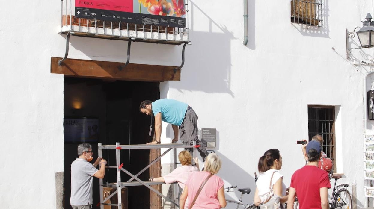 Los preparativos de Festival Flora de Córdoba 2021, en imágenes