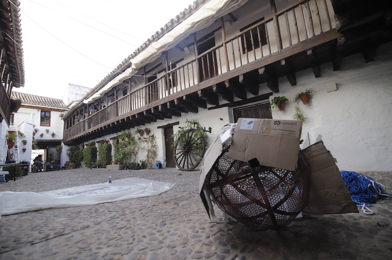 Los preparativos de Festival Flora de Córdoba 2021, en imágenes